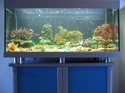Аквариум 240 литров на тумбе