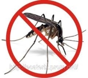 Оконные сетки Киев, недорогие оконные сетки Киев, установка оконных