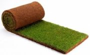 Рулонный газон,  зеленая трава в рулонах  продажа,  доставка,  укладка,  