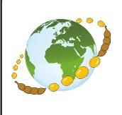 СОЯ АННУШКА,  семена сои