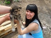 Отдам барбосиков в хорошие руки!