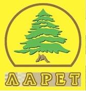 Паркет, паркет штучный, паркет дуб, паркет ясень