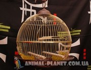 Клетки,  вольеры,  игровые стенды для попугаев