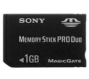Sony MS Pro Duo 1 Gb