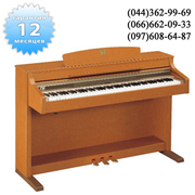 Цифровое пианино YAMAHA CLP330 продам