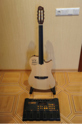 Продам гитару Godin Multiac Fretless Nylon String   