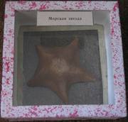 Морская звезда - малая