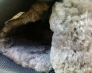 Ботинки зимние мужские