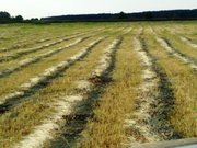 сено тюковое,  навоз конский