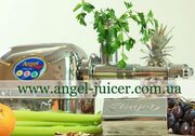 Профессиональная соковыжималка Angel Juicer. Киев.