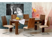 стулья (Murales)0220 OREH