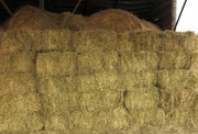 Сено тюкованное урожая 2011 года