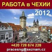 Работа в Чехии для граждан Украины и СНГ.