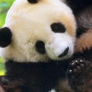 МАСТЕР-ЭЛЕКТРИК!ремонт любой сложности