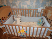 ПРОДАМ ДЕТСКУЮ КРОВАТКУ «BABY ITALIA»