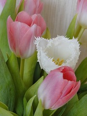 Продам шторы,  тюль 2 комплекта