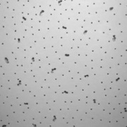 продам армстронг потолок