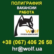 Открыты вакансии! Стабильная работа, обучение, рост. Киев.