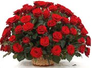 Продам Розу (саженец) более 20 видов.