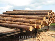 Рудстойку и стройлес