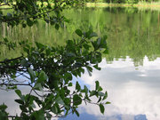 ЧИСТИМ ОЗЕРА, КИЕВ.