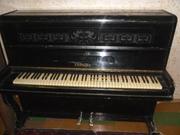 Продам Пианино