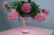 Оригинальная ваза для цветов Philips Lumiware,  лучшая цена!