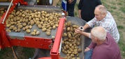 УАВК улучшает производительность картофеля