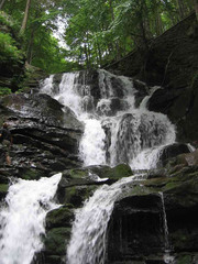 тур в закарпатье на день независимости, закарпатье туры в августе