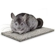 Мраморная плитка (охладитель) для шиншилл.
