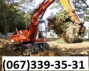 Удаление деревьев Киев, автовышка (17-22-28-40м.). корчевание пне