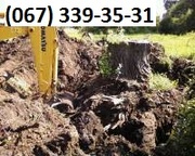 Снос старых домов, корчевание пней Киев. Уборка участка Киев.