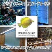 Заказать, купить Аквасистемы для интерьера, Аквариумы. Киев.