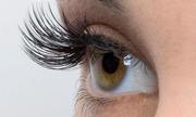 Обучение наращиванию ресниц киев, курсы по наращиванию ресниц в киеве