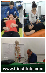 Курсы по ортобиономии, психо-телесная терапия обучение, ортобиономия