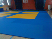 ТАТАМИ. КОВРЫ БОРЦОВСКИЕ. СТЕНОВЫЕ ПРОТЕКТОРЫ - ОТ ПРОИЗВОДИТЕЛЯ