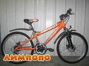 Azimut 26 Extreme FR-D