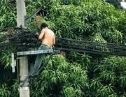 строительство сети провайдера интернет.