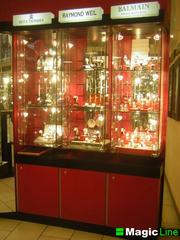 Витрины из стекла, пластика, ДСП, МДФ, профиля, труб и пр.