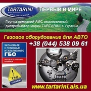 Оборудование газовое Tartarini Auto SPA цена производителя.