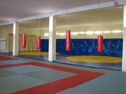 Татами маты, ковры борцовские, мягкая защита стен