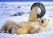 Распродажа  б/у  резины  R 16 -17, 