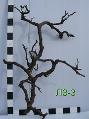 Натуральные лианы, корни и лоза