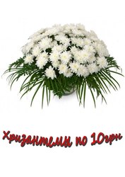 Хризантемы. Акция 