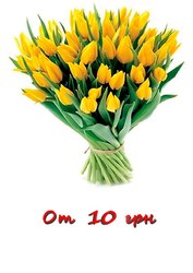 Тюльпаны. Букеты. Доставка цветов