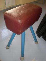 Козел,  конь,  брусья,  бревно,  перекладина, мостик подкидной,  маты,  Киев