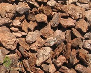 Мульча из сосновой коры не дорого!