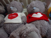Большие мишки Тедди (Teddy) 