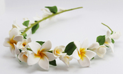 Обруч Плюмерии