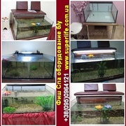 Фиш Спа оборудование, Детокс Спа Киев 2013